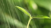 初期雨水什么情形下需納入排污許可？